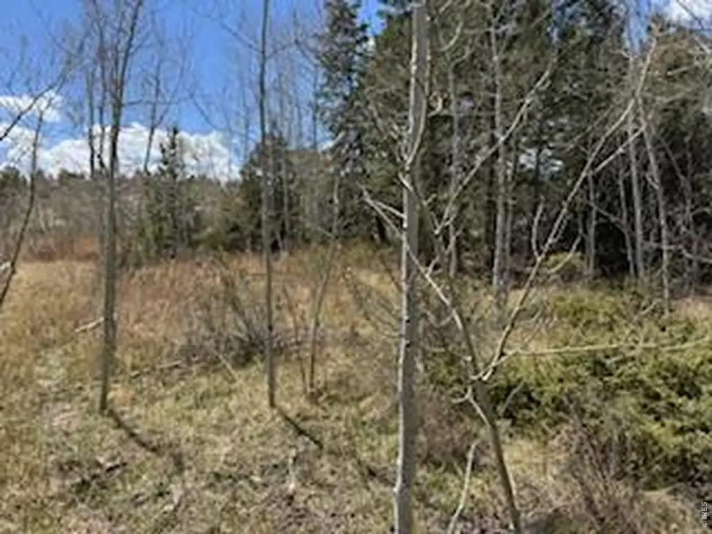Picture 13
