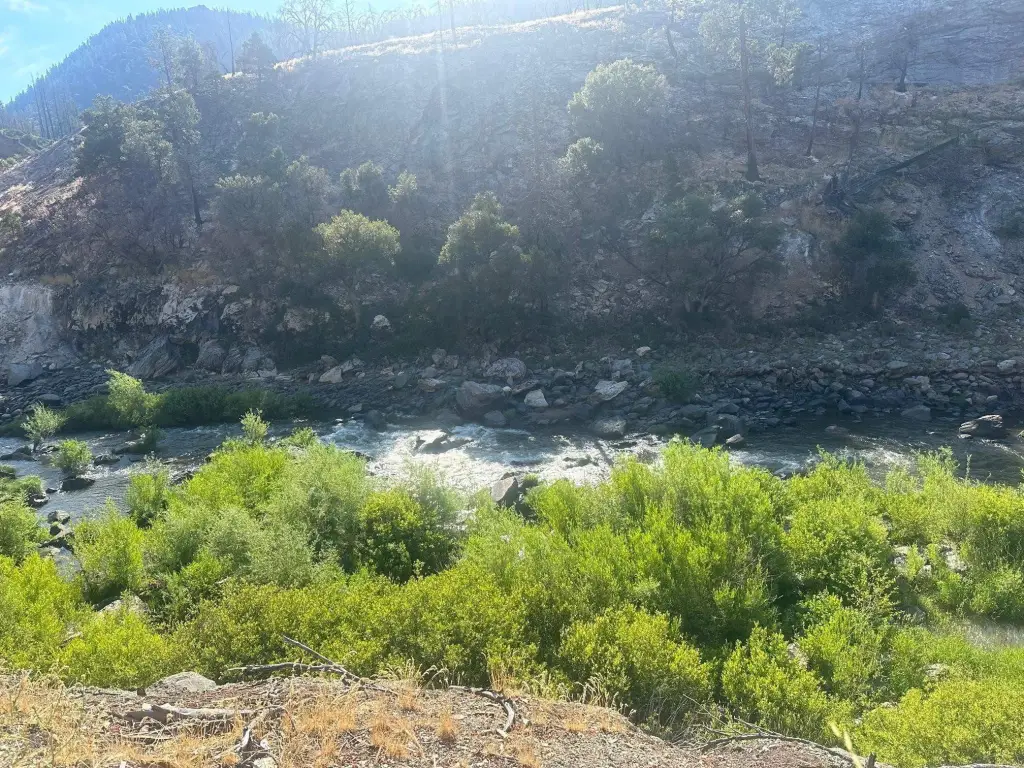 Picture 10
