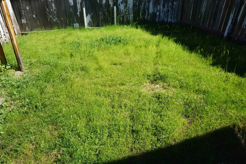 Picture 33