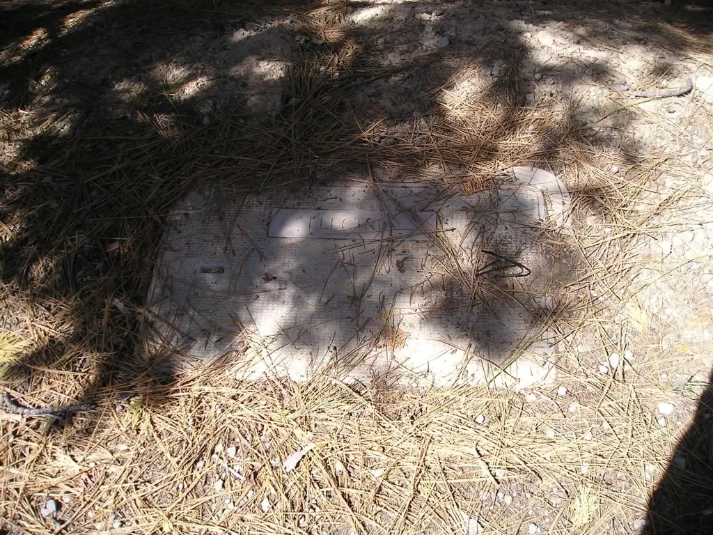 Picture 27