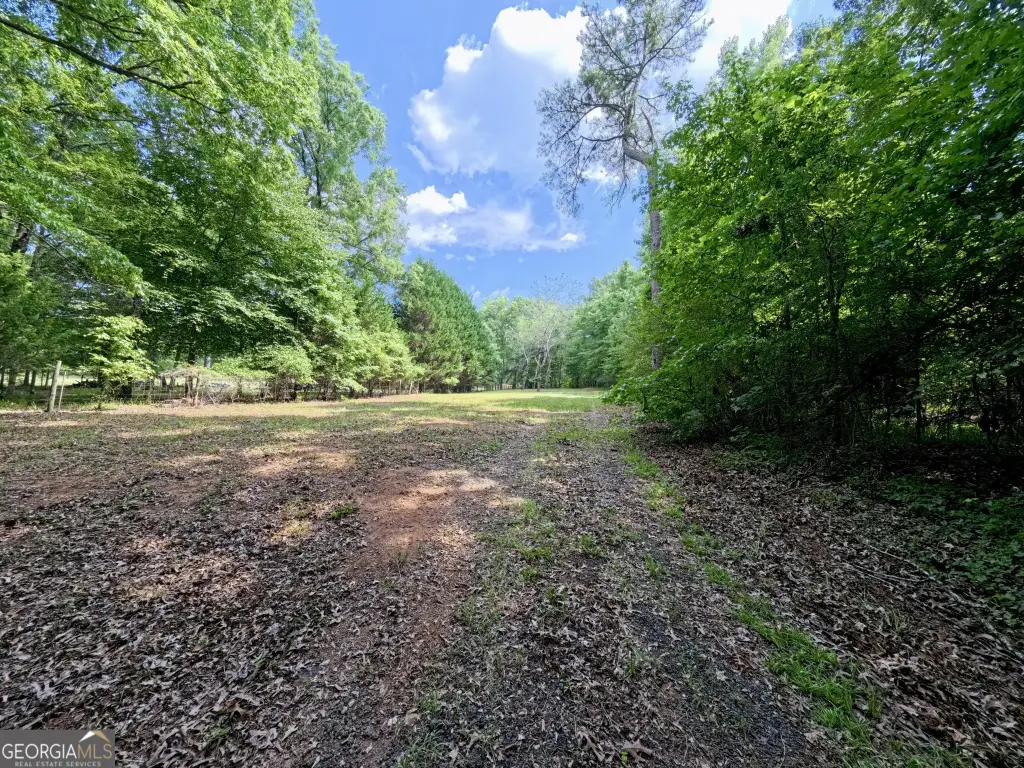 Picture 33