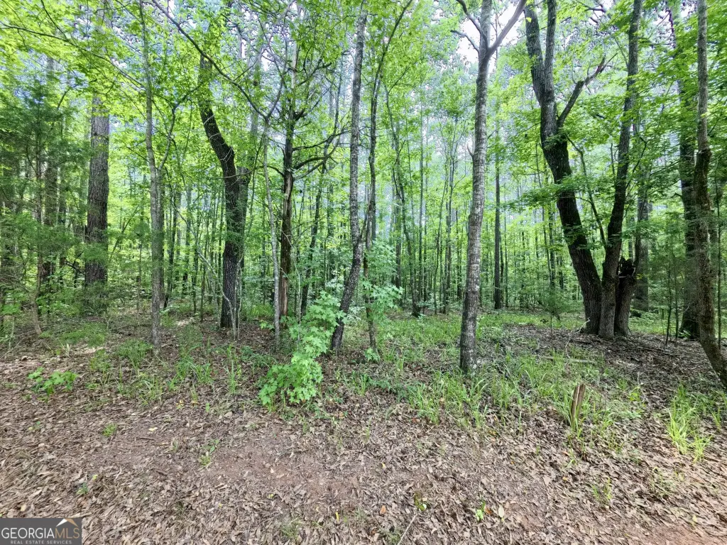 Picture 36