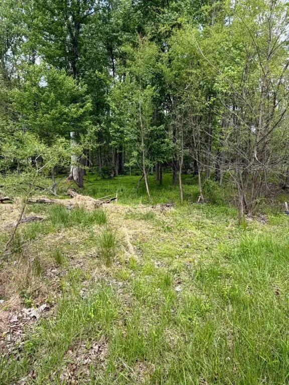 Picture 8