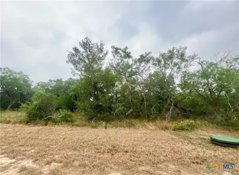 Residential Land in Smiley, TX