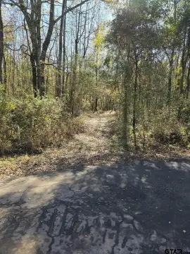 8.1 Acres Recreational Land