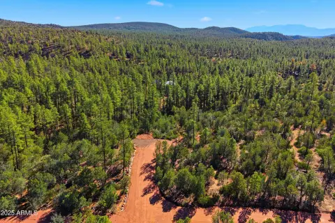 Land in Pine, Arizona