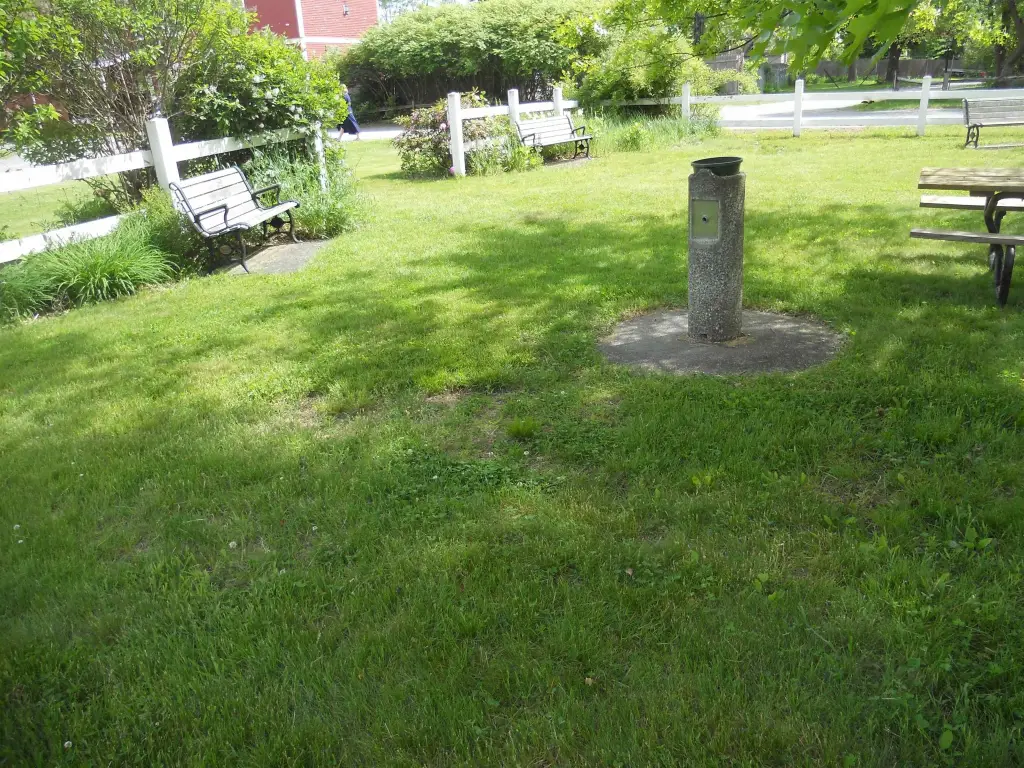 Picture 49