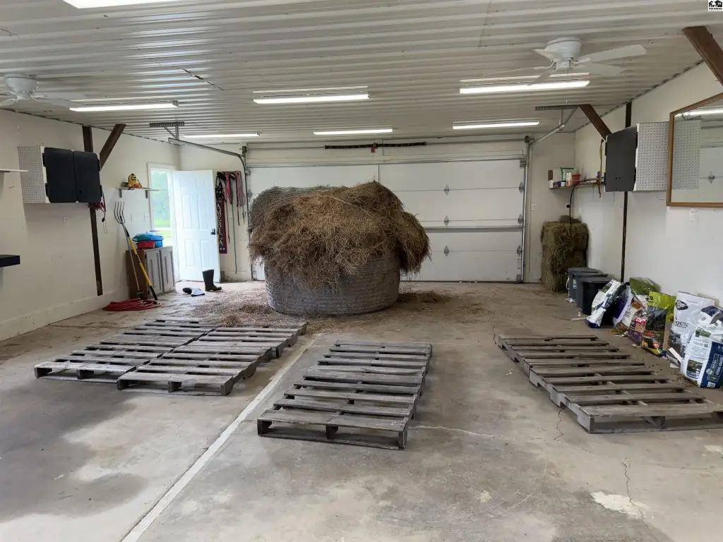 Picture 4