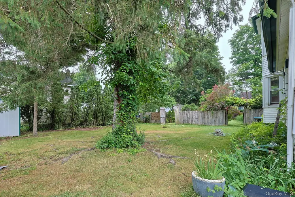 Picture 27