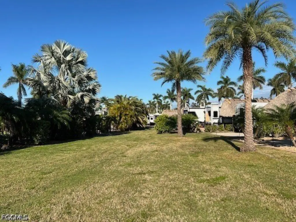 Picture 36