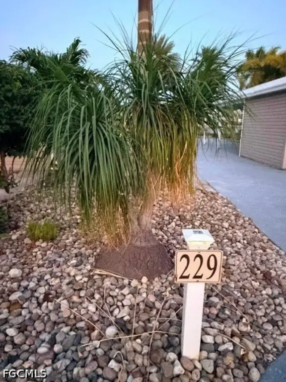 Picture 20