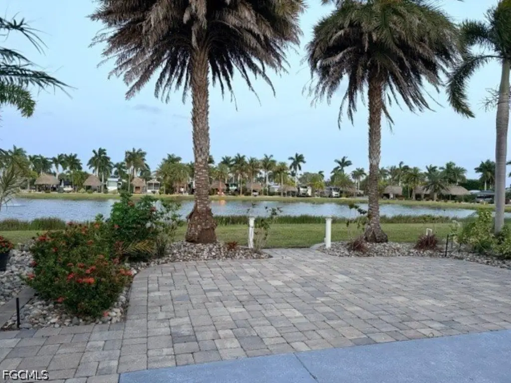 Picture 5
