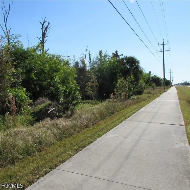 Picture 14
