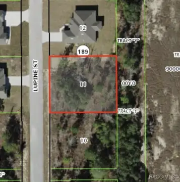 Ready-to-Build Lot in Homosassa