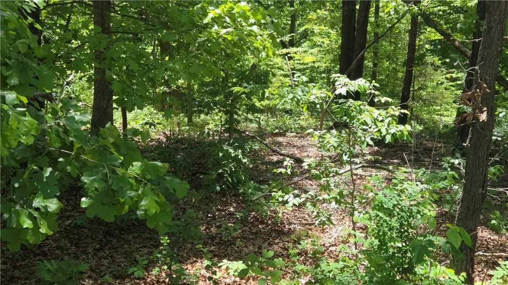 Picture 4