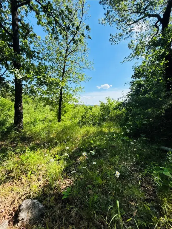 Picture 21