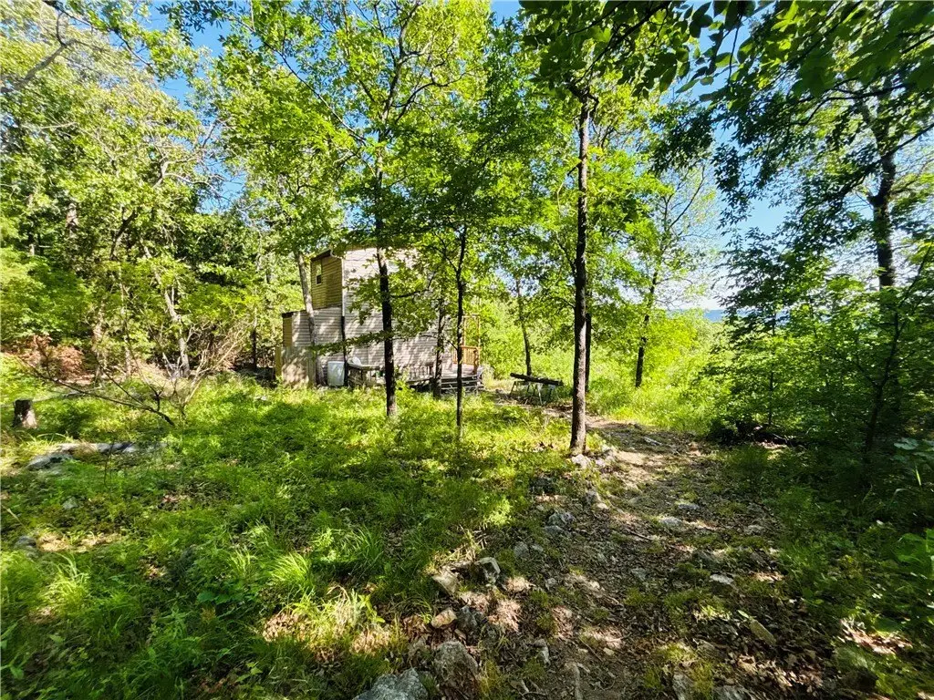 Picture 18