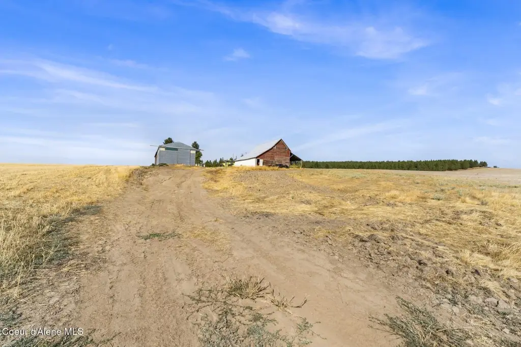 Picture 48