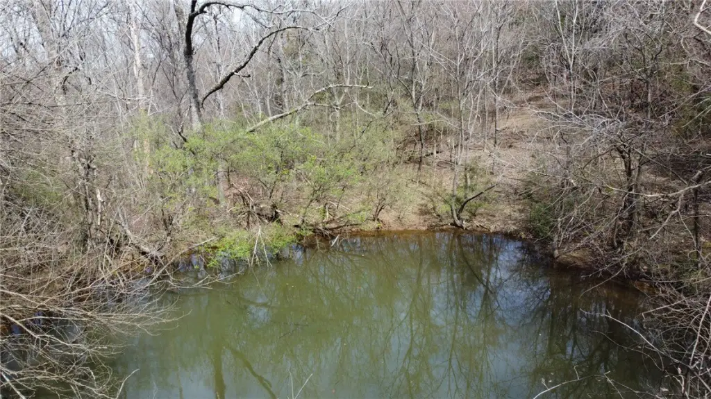 Picture 22