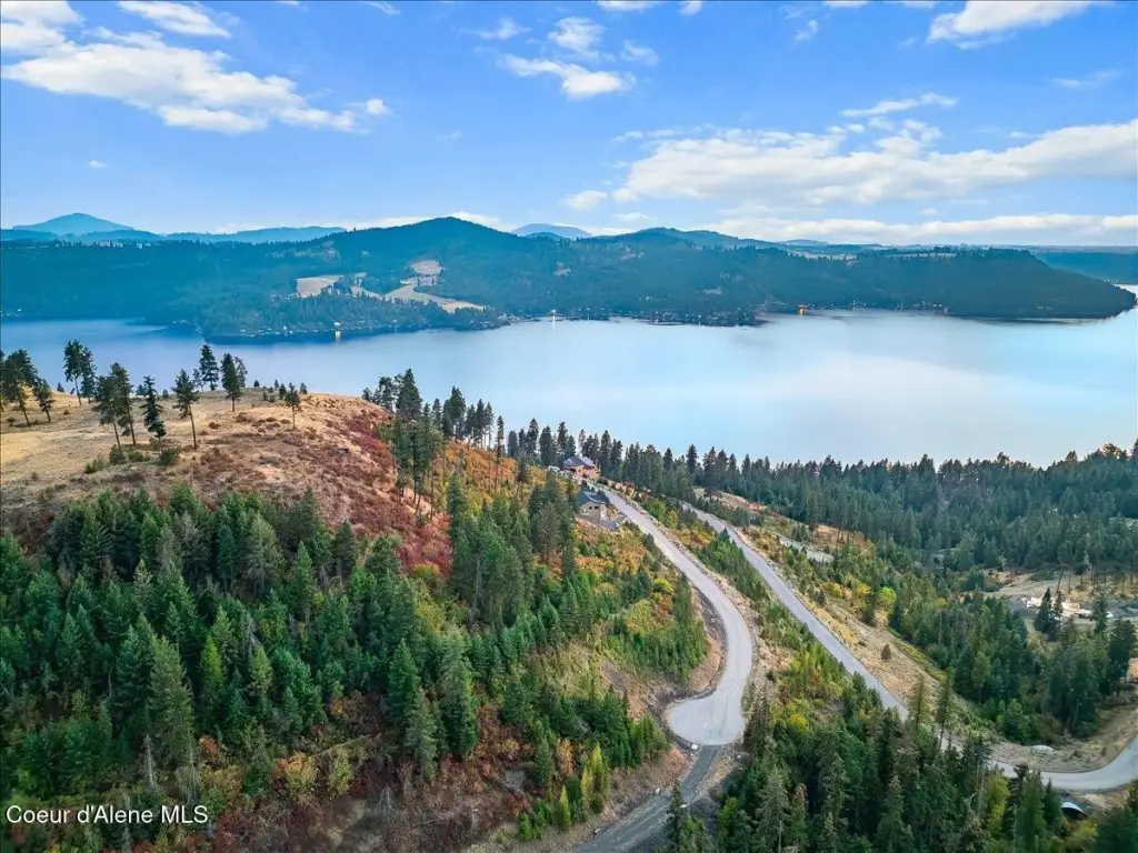 Picture 3