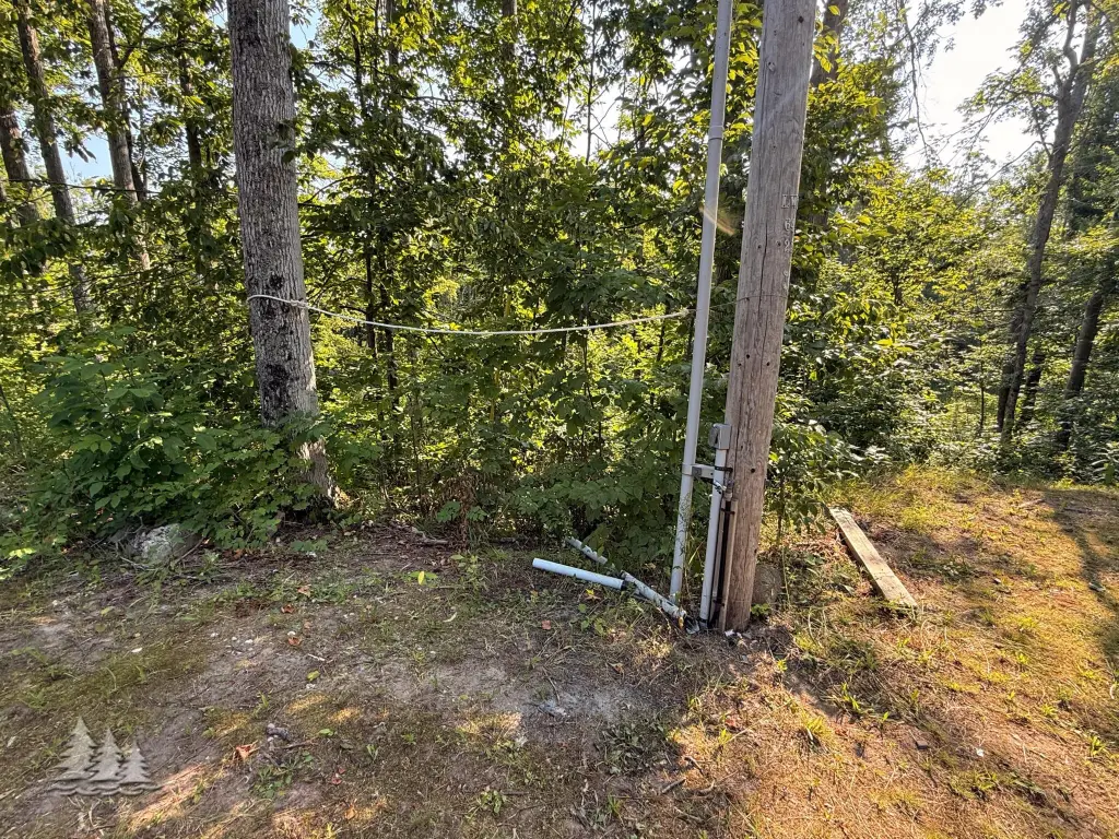 Picture 24