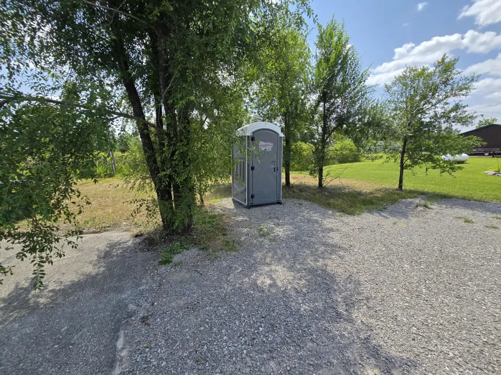Picture 5
