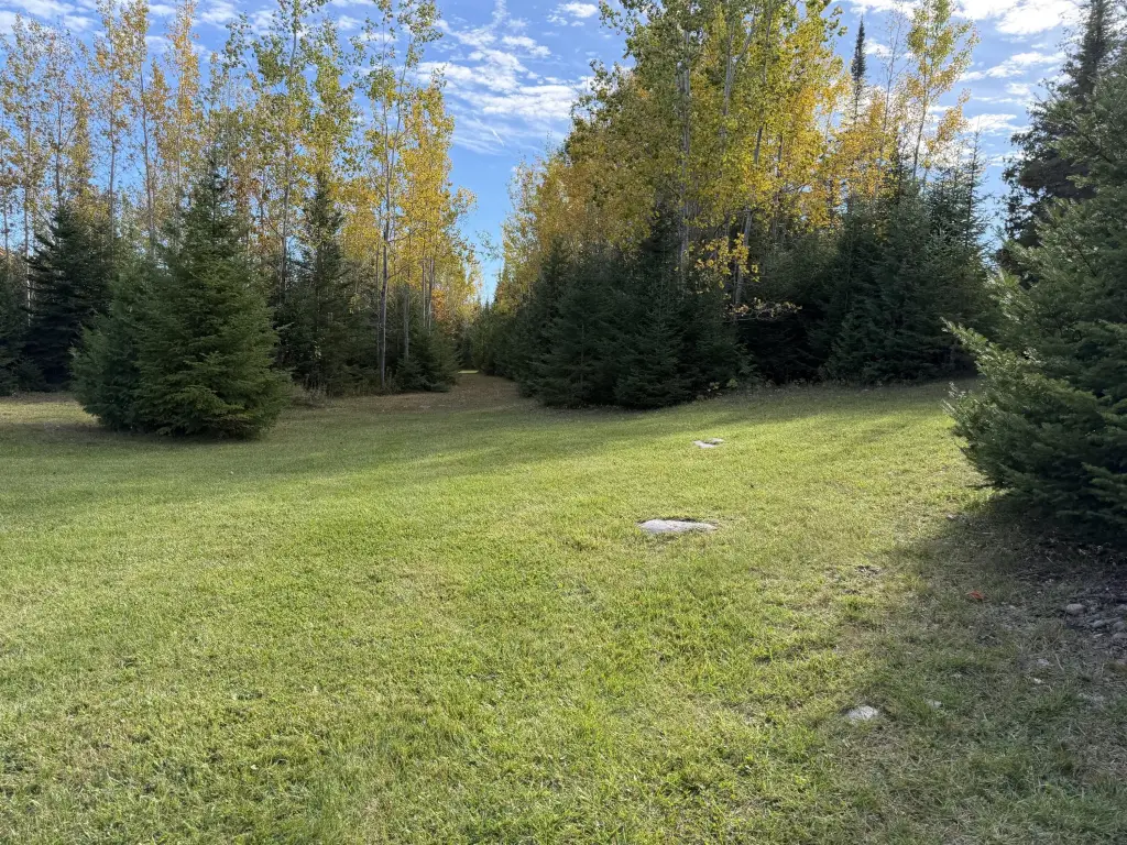 Picture 33