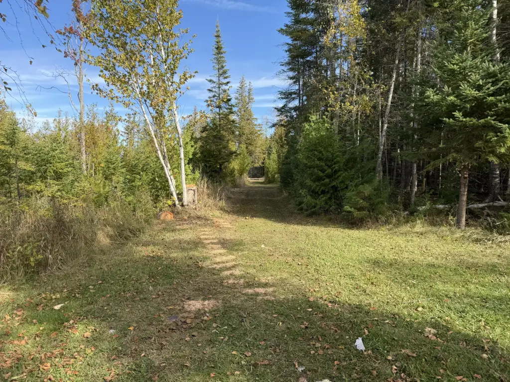 Picture 40