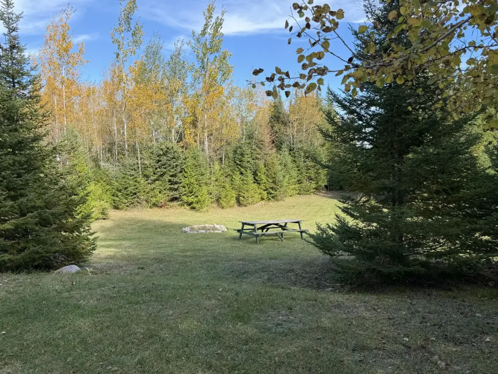 Picture 19