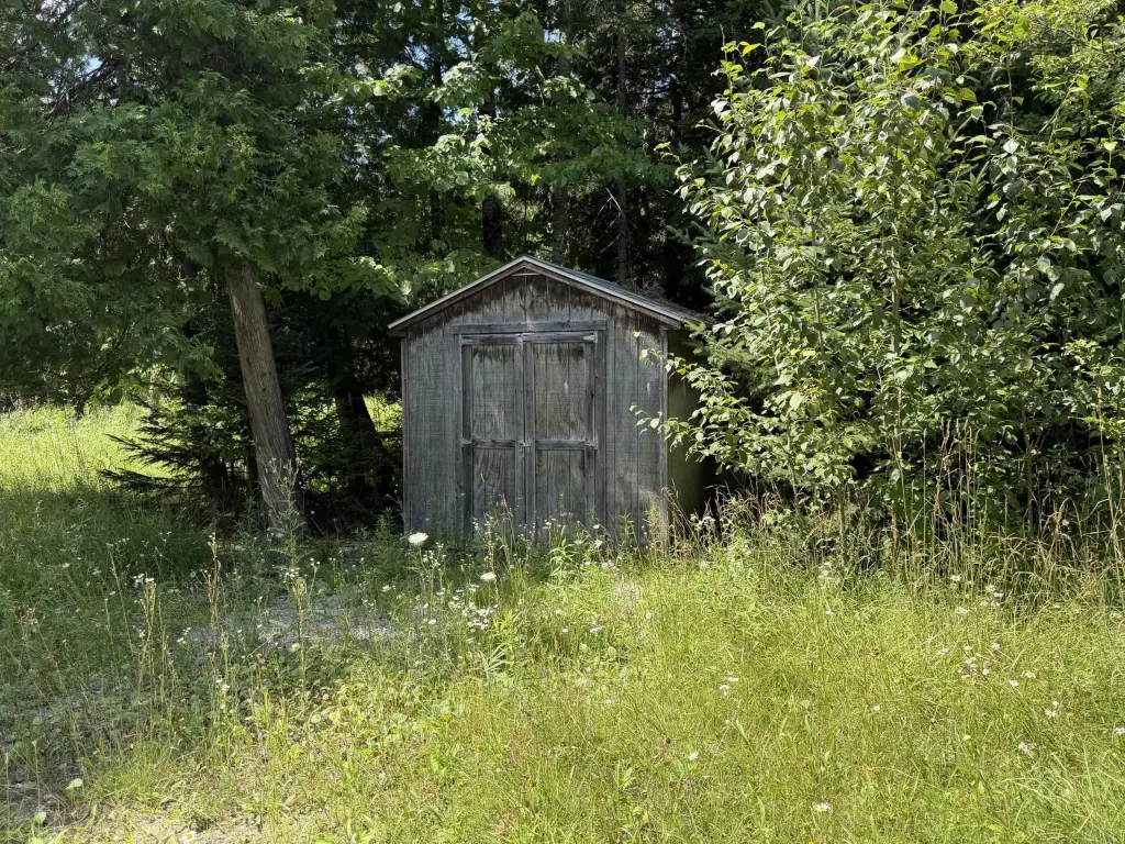 Picture 7