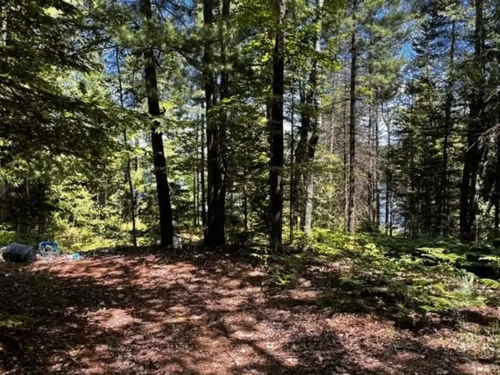 Picture 8