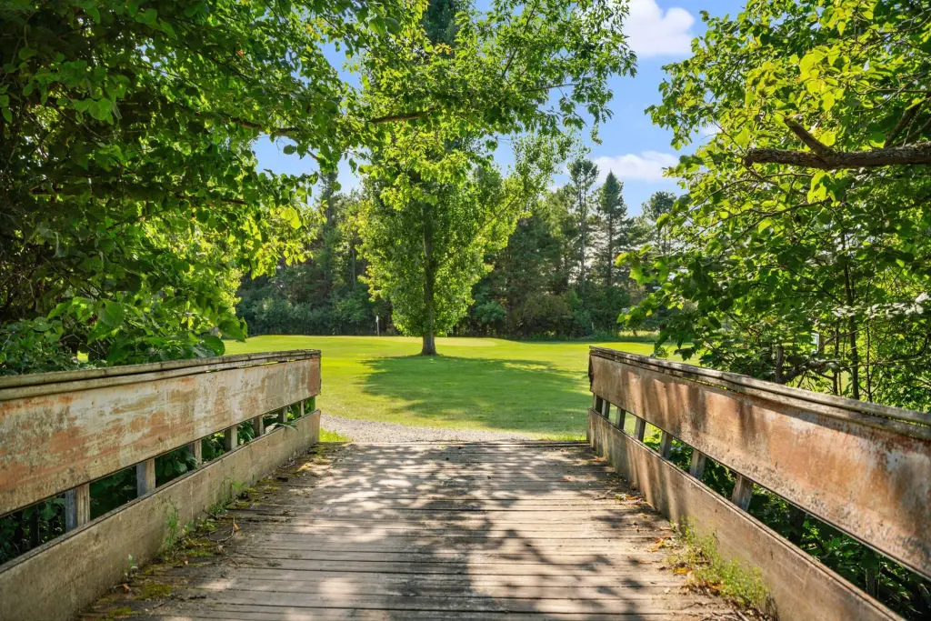 Picture 61