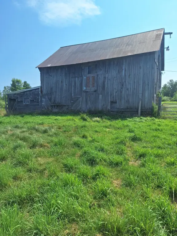 Picture 4