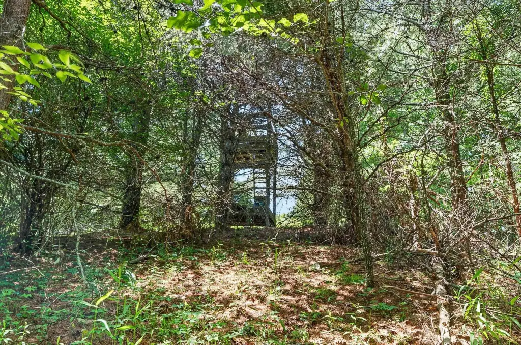 Picture 16