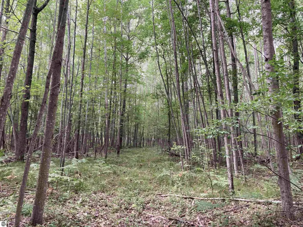 Picture 25