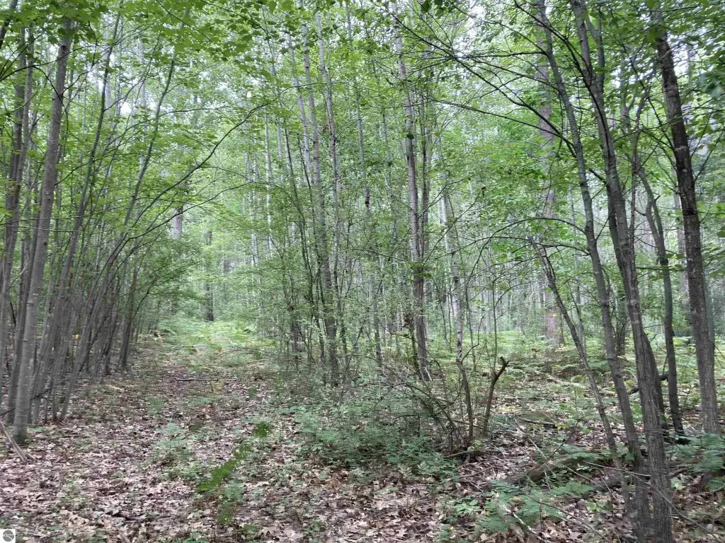 Picture 29