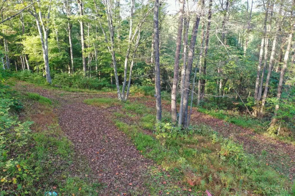 Picture 8