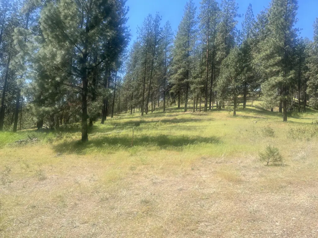 Picture 10