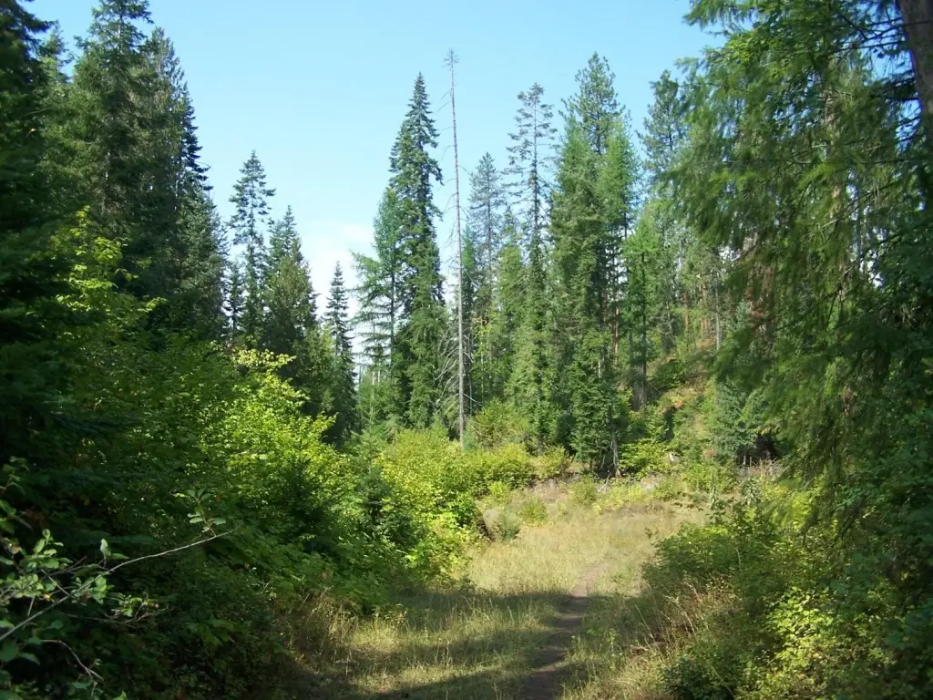 Picture 7