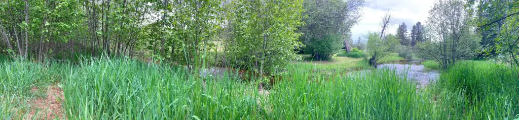 Picture 36
