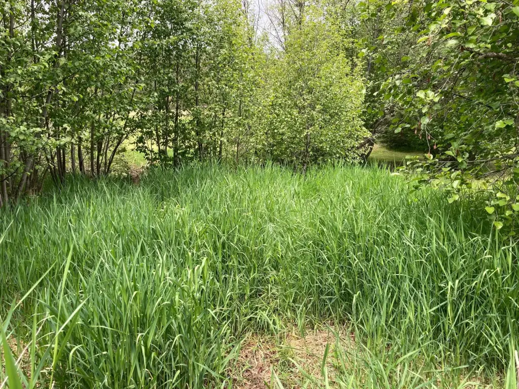 Picture 33