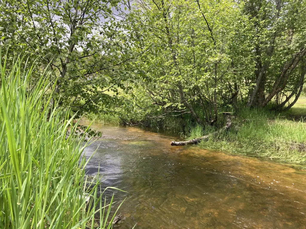 Picture 38