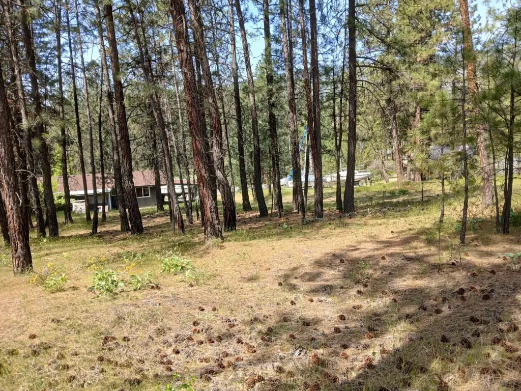 Picture 17