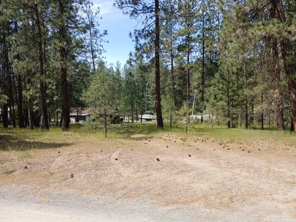 Picture 2