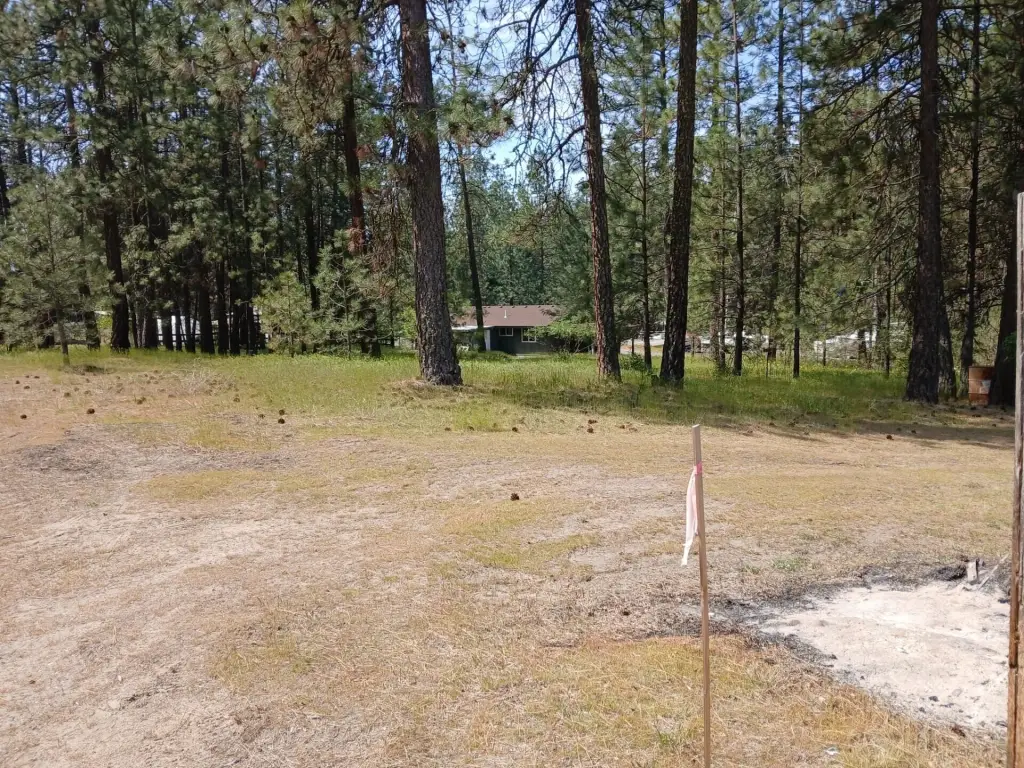 Picture 10