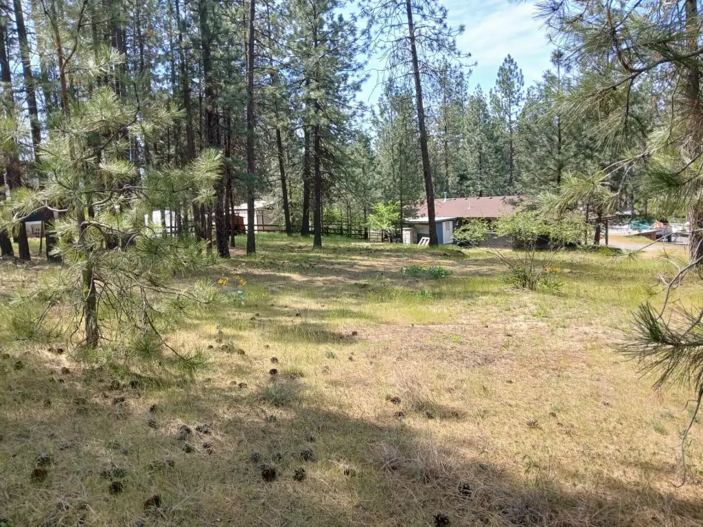 Picture 13