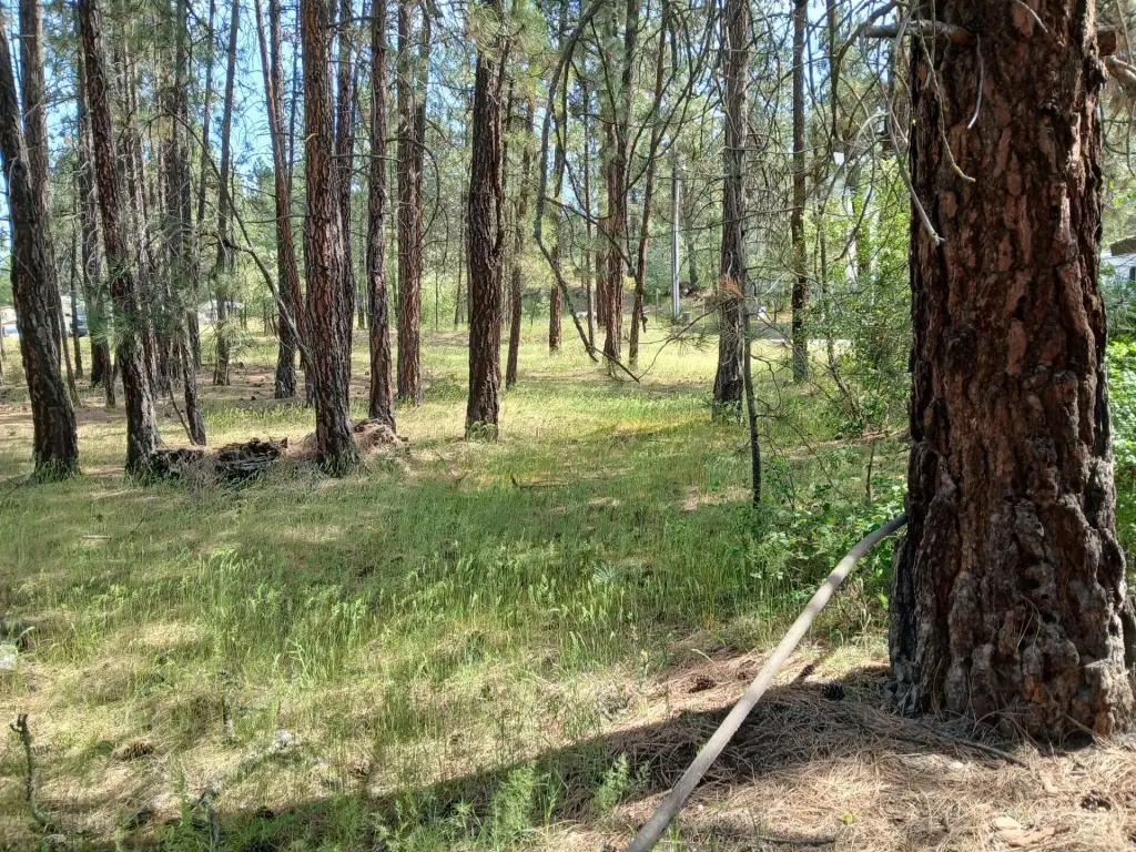 Picture 8