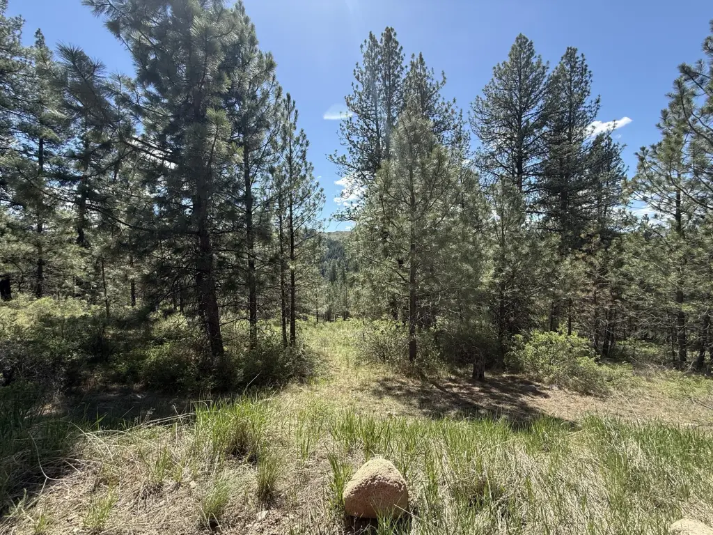 Picture 19