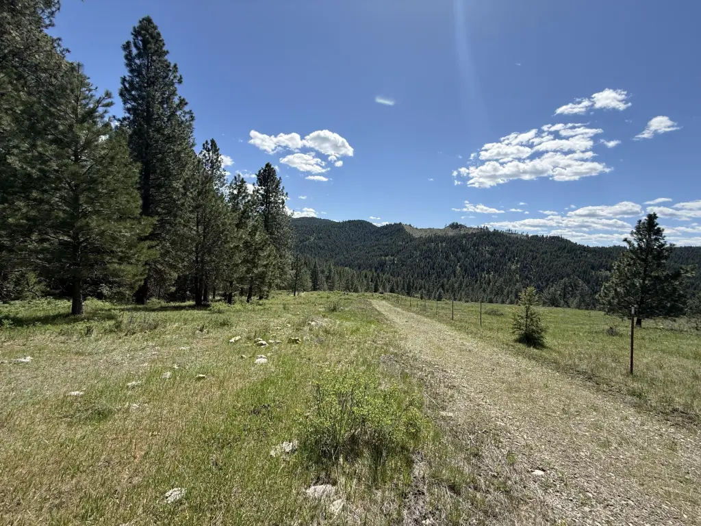 Picture 9