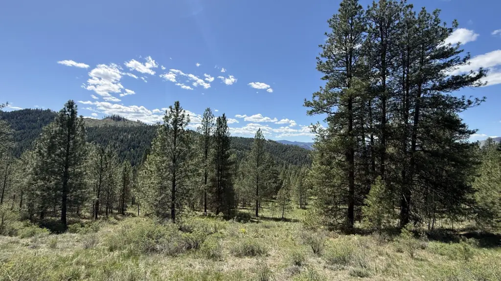 Picture 18